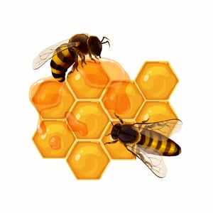 2306.q705.021.F.m005.c7.honey bees