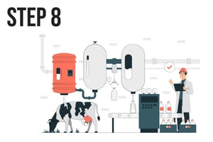 STEP 8 Initial Certification Audit 