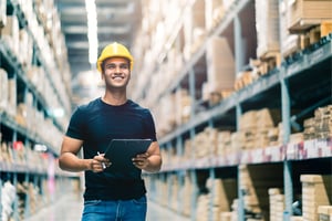 what_company_can_do_a_ifs_audit